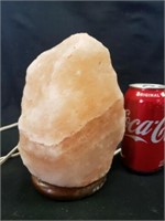 Salt rock lamp