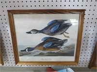 FRAMED MALLARD PRINTS