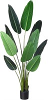 NEW $93 Tropical Palm Tree, 5 Feet-1 Pack