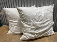 Oeko Tex Standard 100 Pillows 28”x28”