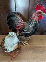 STUFFED ROOSTER PLUS