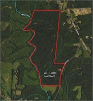 Bethesda Church Rd (East Tract)  - 223+/- Acres
