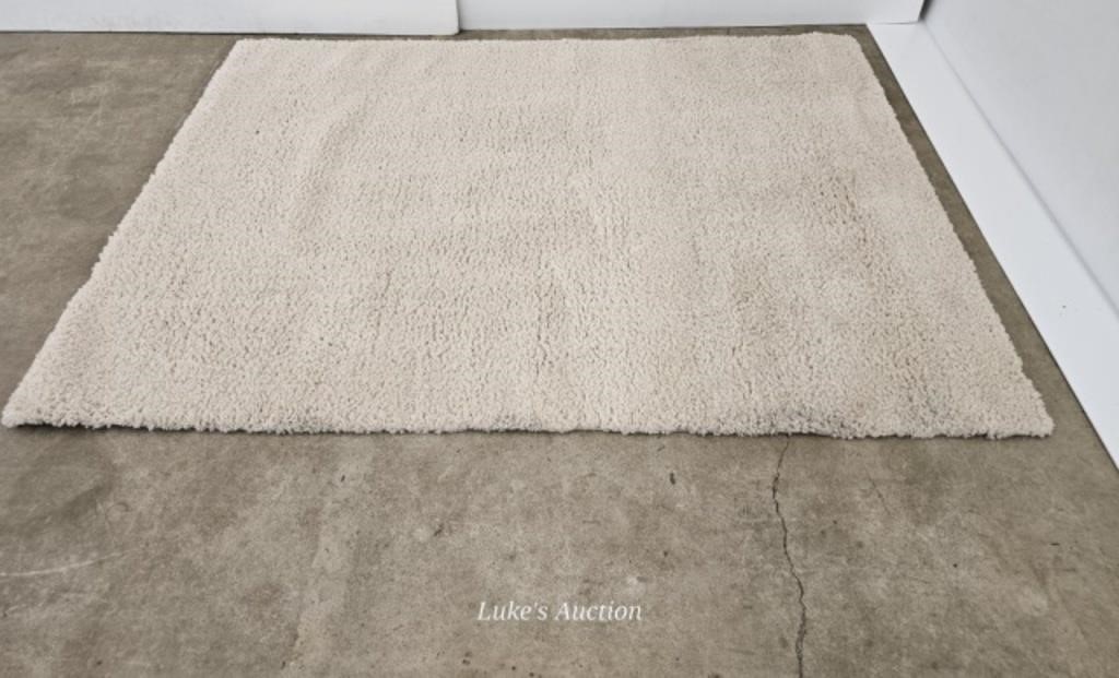 CAM WELLINGTON SUPER SOFT ARE RUG 5'3" X 7'4" (7)