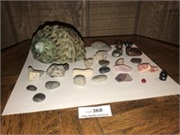 Lot of Collector Rocks and Shell