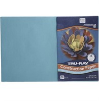 TRUE RAY CONSTRUCTION PAPER 2PCS