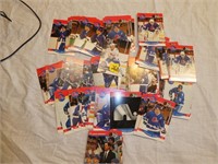 1990 Pro Set of NHL Team Quebec Nordiques