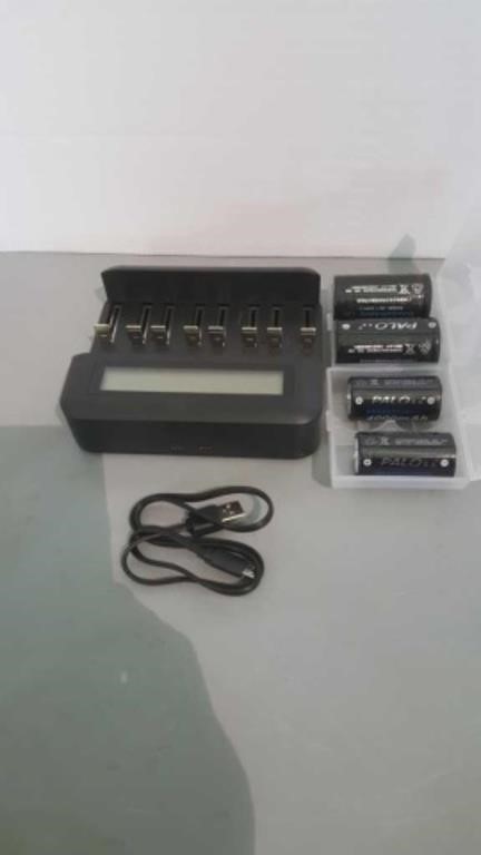 Rechargeable batteries and charger with display