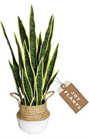 ARTIFICIAL SNAKE PLANT 27IN