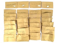 29 Labeled Shell Specimens in Envelopes