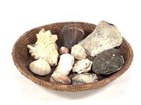 Basket w Large Shells Clam Conch & Others