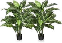 TE9078  Golden Dieffenbachia Silk Tree