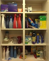 Selection of Household Cleaning Products