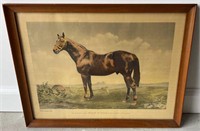 Man O War Print In Wooden Frame By Fair Play Out