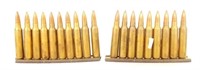 .223 ammo (19) rounds with 2 AR Stripper clips