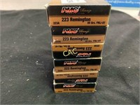 20rds PMC Bronze 223rem 55gr FMJ