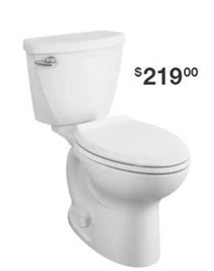 *2-piece 1.28 Single Flush Elongated Toilet (Used)