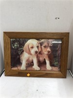 Framed Puppy Picture Approx 20x15