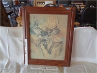 Framed Deer Print - Signed by Artist