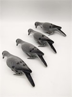 4pc Dove Decoy With Clips and Stakes
