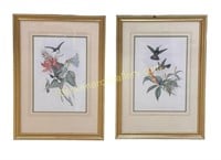 Pair of Hummingbird Prints, after Gould & Richter