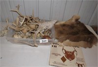 Lg Lot Of Deer Horns / Skulls & Hide