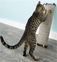 Omega Paw Lean-It Everywhere Scratch Post,