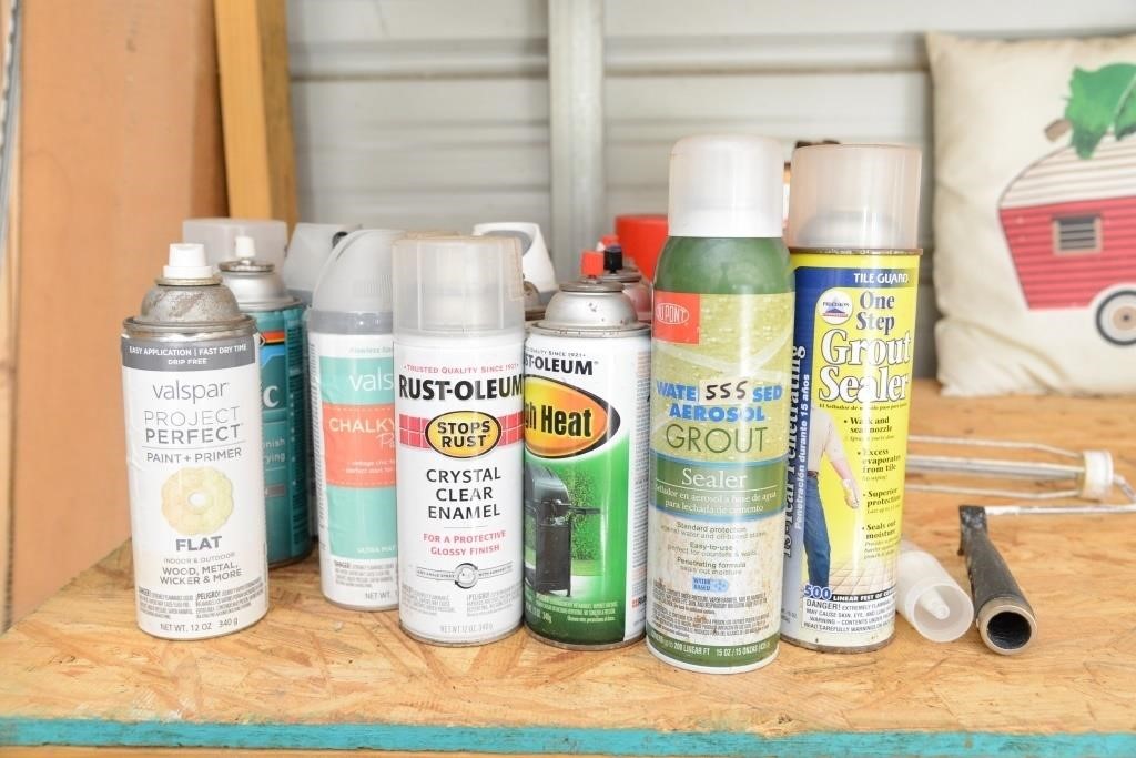 SPRAY PAINT LOT