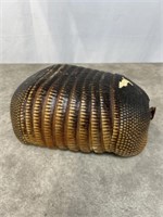 Armadillo shell