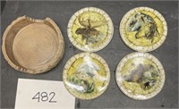 Native coasters with holder