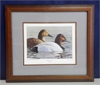SN/LE Wildlife Waterfowl Duck Art Print