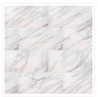 Traffic master ceramic wall tile (8pcs per pack)