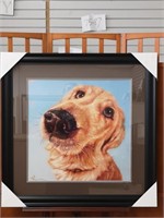 Follow Your Nose Framed Print