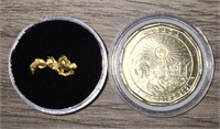 Gold Nugget & Klondike Coin #2