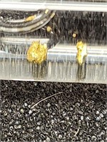 (2) gold flakes from Black Hills,SD