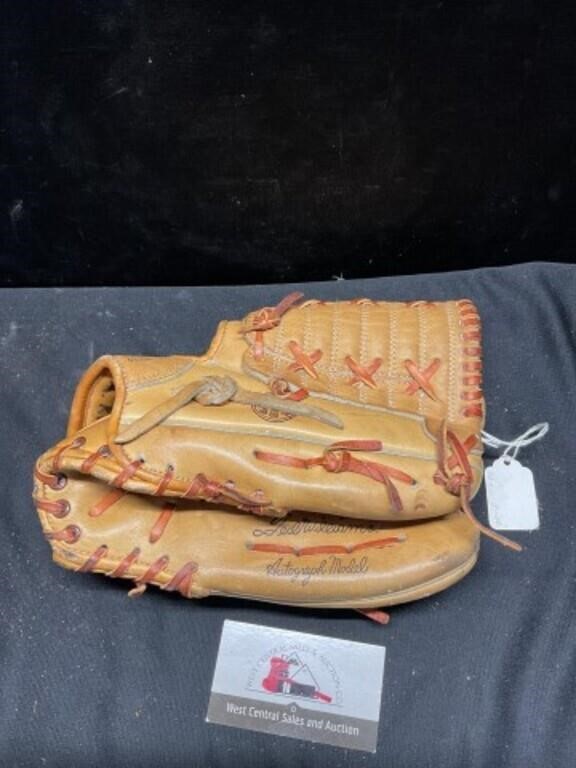 Ted Williams Sears and Roebuck Glove