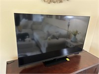 Vizio 48" TV