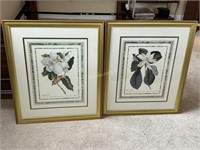 Pair of Framed Magnolia Prints, Very Southern,