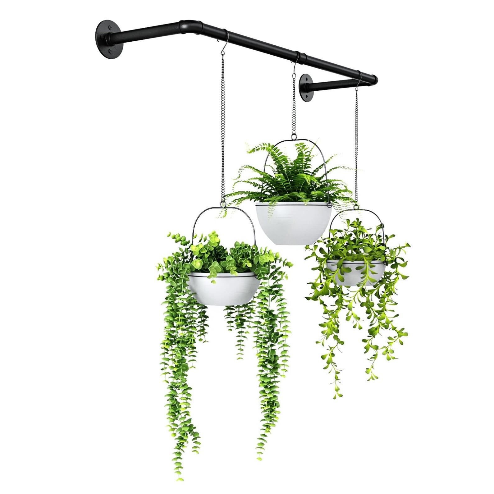 Bamworld Hanging Planters for Indoor Plants Plant