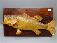 Mounted taxidermed fish