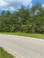 Tract 8: 3.74+- Acres • Creek Frontage