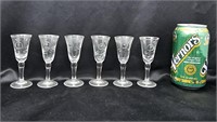6 HAND ETCHED CRYSTAL CORDIALS