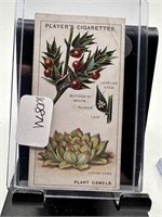 VTG TOBACCO CARD PLAYERS PLANT CAMELS