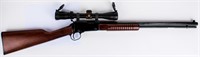 Gun Henry Pump Action Rifle in 22LR