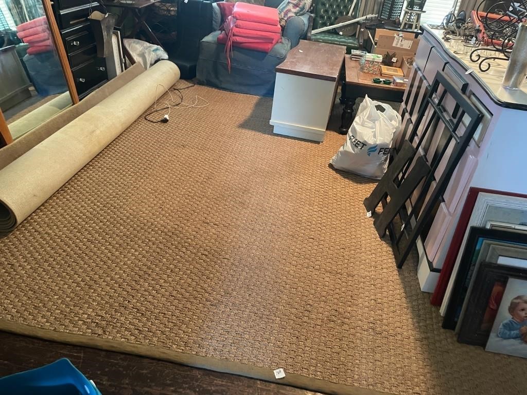 LARGE nice rug