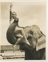 8x10 Performer on elephant trunk