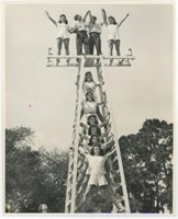 8x10 Acrobats on ladders