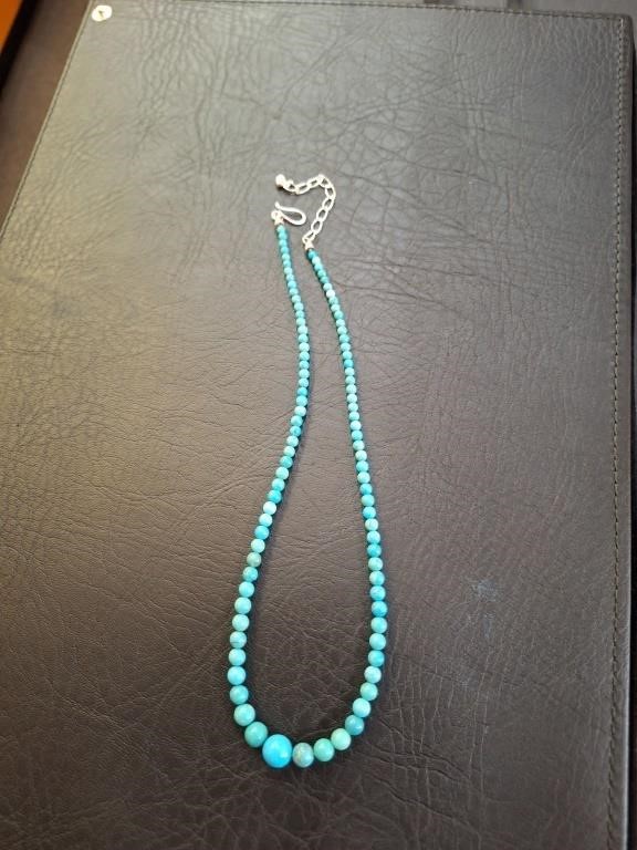 Jay King DTR Turquoise Graduated Beaded Necklace