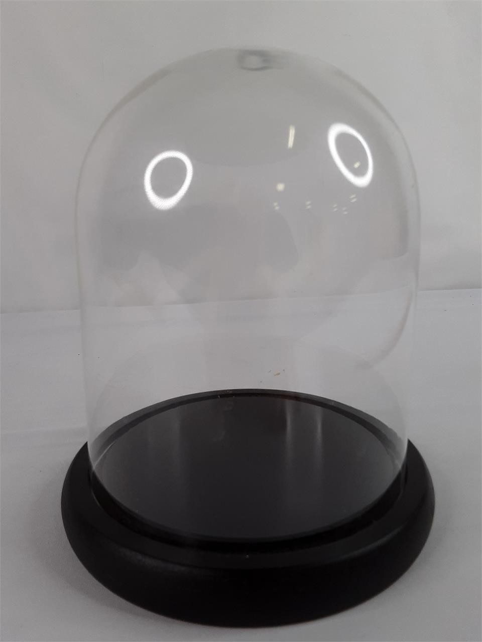 Glass Jar Display Dome
