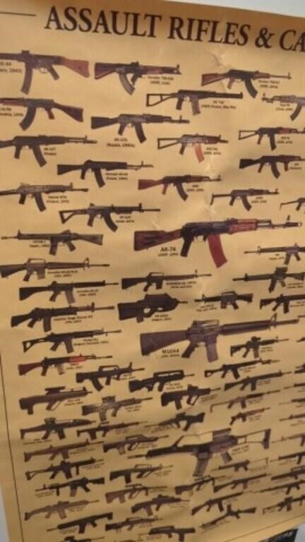 Assault rifle and Carbines chart, approx 18