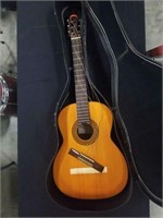 Dorado acoustic guitar & case
